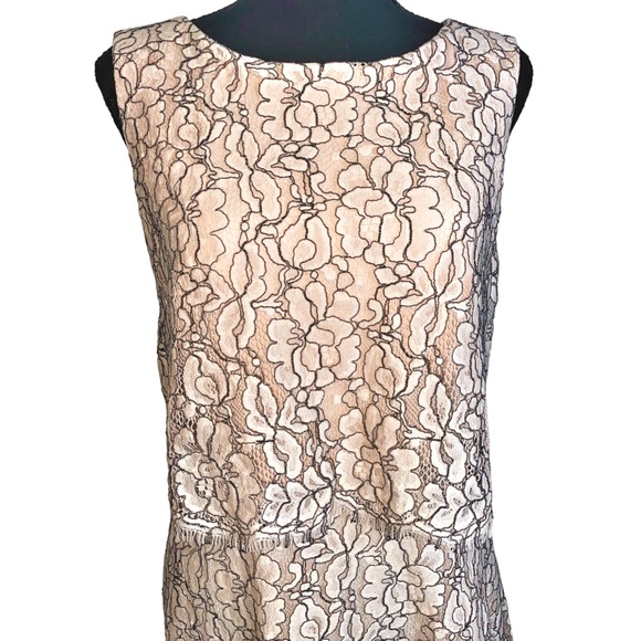 ANTONIO MELANI ☆ Emma Pink Two-Tone Lace Overlay Sleeveless Dress - Picture 3 of 7